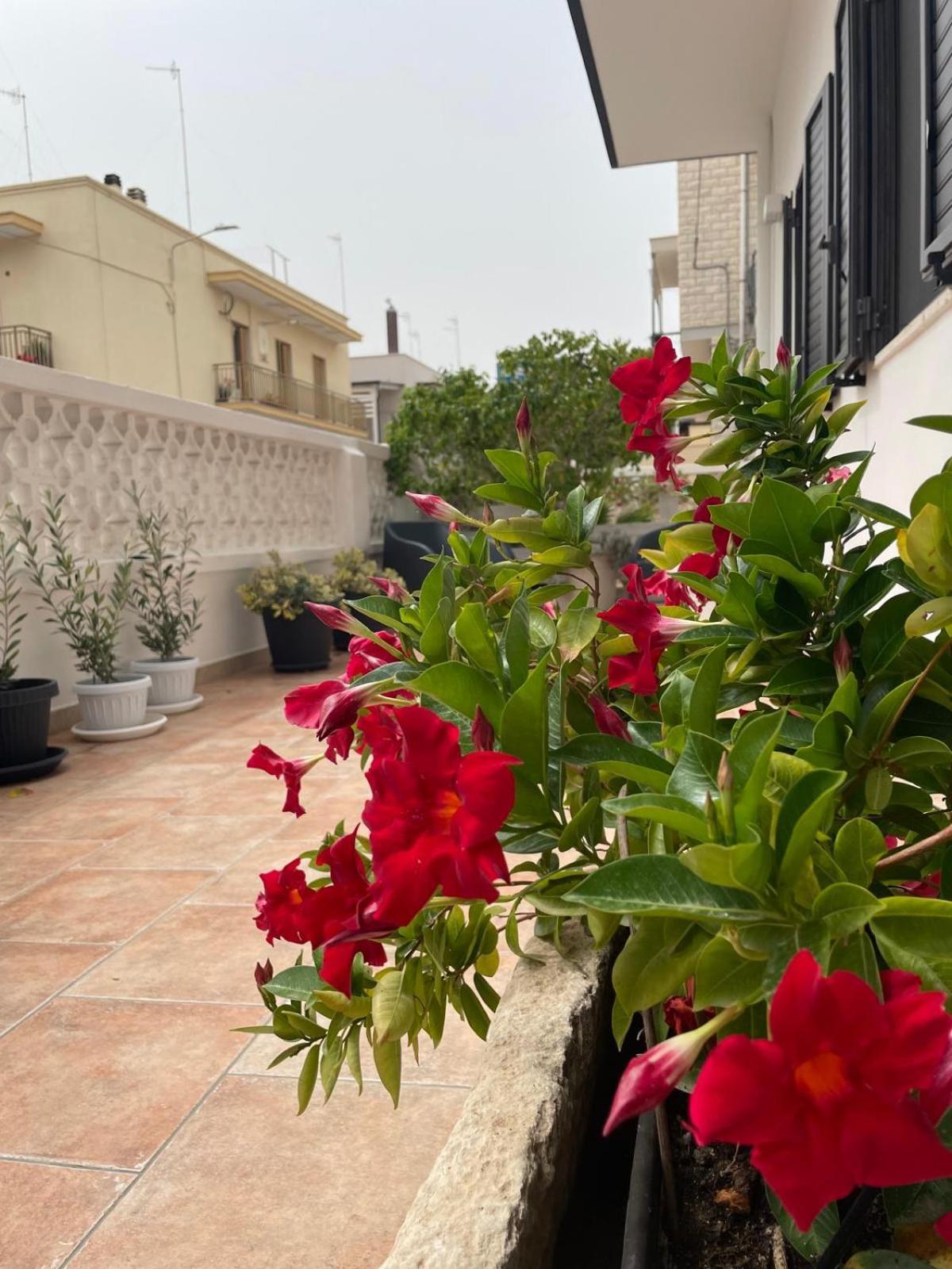 Rosa Dei Venti Polignano a Mare Exterior foto