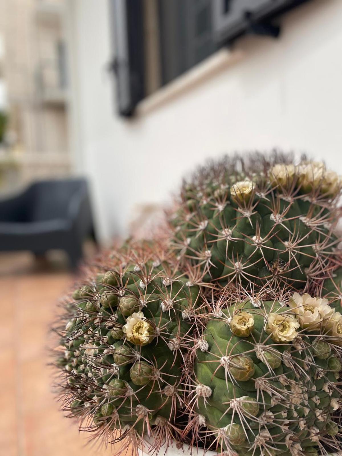 Rosa Dei Venti Polignano a Mare Exterior foto